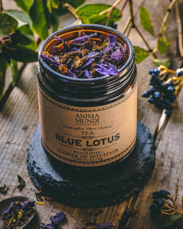 Blue Lotus Tea - Superfood