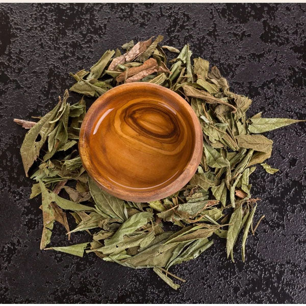 Kalea Sacatechichi - Wildcrafted Dream Herb, Oaxaca