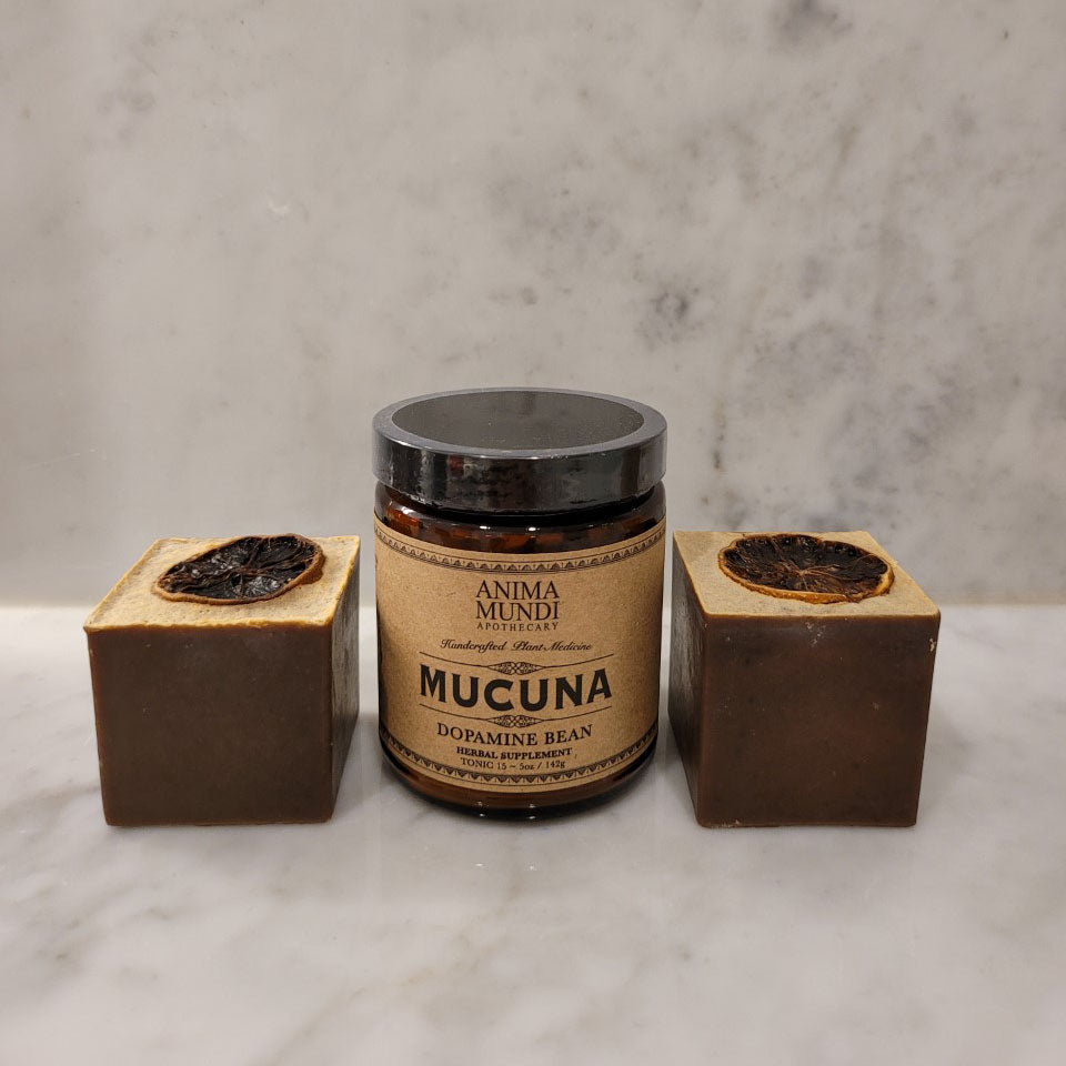 Mucuna