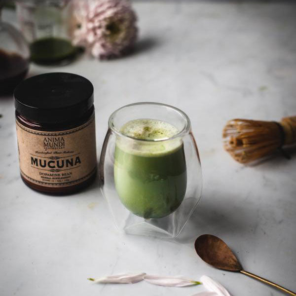 Mucuna
